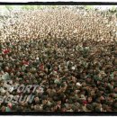 카시오페아 PC방 이미지