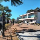 하이네펜션 이미지