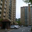 분당-317 이미지