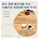 [경기 파주] 파주 대형 애견카페 추천 슈베르몽 4000평 규모 솔직 후기 (+가오픈 정보)