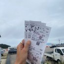 송이섬펜션 | Travel I 섬앤산 트래킹 송이도 / 몽돌, 큰내끼 (바다로 티켓 예약)🌊