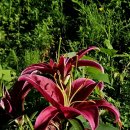 말구리농장 이미지