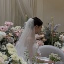 W 11. 아이폰 스냅, <뮤즈라이트> 본식 후기