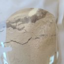 도토리가루 판매합니다~ 이미지