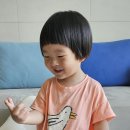 기상농장 | 바니그라운드 동물농장 스몰월드 : 29개월 아기랑 놀기