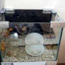 애플여관 이미지