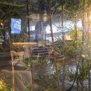 우가닭한마리 이미지