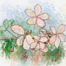 포인트 행정사 이미지