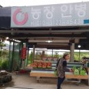 안병숙토마토농장
