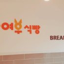 노란여우식빵
