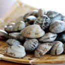 바다회천국 이미지