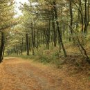 성산홍마트 4 이미지