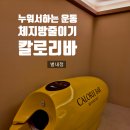 별내에너지 노동조합 | 별내 다이어트 누워서 하는 운동 칼로리바 별내점 체지방 줄이는 법