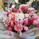 오창 올리브상가 꽃집 휘플라워 꽃다발 내돈내산 솔직후기