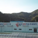 칠곡양봉영농조합법인