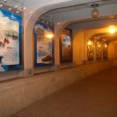 통영터널로가로수 이미지