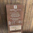 시로이쿠모