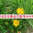단지내코오롱공인중개사사무소 이미지