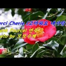 별이 빛나는 밤에&#39; 시그널뮤직/ Franck Pourcel 이미지