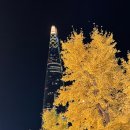 소비지 | 11월 후기/춈미 PVCS 캐시미어 머플러 세일/다이슨 블프