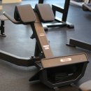 바디라인업 이미지