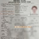 행정사사무소 나무 이미지