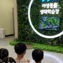 하늘숲생태유치원 | 오감으로 배우는 야생동물 생태보전 교육 현장 스케치 : 연천,평택 무료 체험학습장소 추천