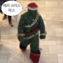 트위터 모음🎄🎅❄️❤️✨🎁💚.twt 이미지