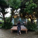 두근두근하우스 in 성산 이미지