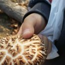 무재농장 이미지