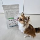 화이트 독 | 네이처스 프로텍션 화이트 독 사료 리메 눈물 사료 급여 후기