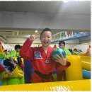 우리태권도장 이미지