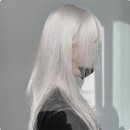 아르결 이미지