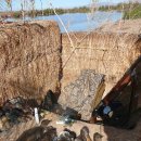 풍년오리 이미지