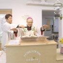 에코올리베또
