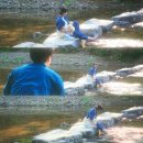 [내돈또산] 다람쥐와 고양이 함께한 1박 2일 템플스테이 힐링 후기 :: 공주 마곡사 [체험형] 요가...