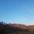 용산면사무소 이미지