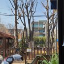 역말어린이공원 이미지