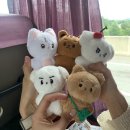 레츠고투어 이미지