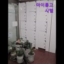 마이룸고시원 - 동대문구 황물로 71 | 마이룸고시원