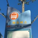용호3동 마을건강센터 | (부산/대연동)부산효소찜질연구소 건강힐링센터 효소온 효소ON 사랑드림점 리뷰