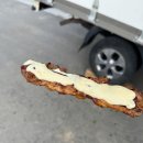 꼬치주까 이미지