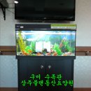 몰댄동산