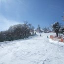 평창이야기 이미지