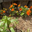 갈산1동 행정복지센터 이미지