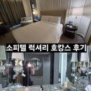체리휘트니스클럽 | 소피텔 서울 호캉스 후기 - 럭셔리 레이크룸, 애프터눈티, 해피아워 아쉬운점