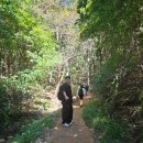 평택 근교 용인 처인구 석성산 등린이 등산 후기(1코스 용인시청)
