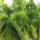 웰빙한의원 이미지