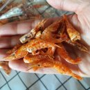 진도청정건어물 이미지