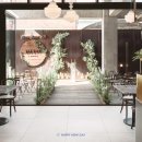 디토(Dito) 네이버블로그